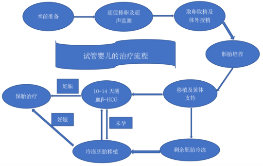 试管婴儿流程