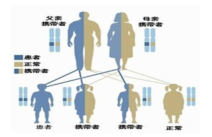 家族遗传性疾病